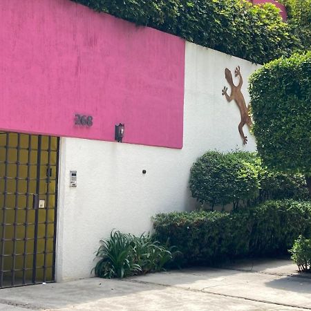 Hostal Cuija Coyoacan Berlin 268 Coyoacan Meksyk Zewnętrze zdjęcie