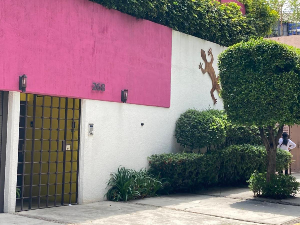 Hostal Cuija Coyoacan Berlin 268 Coyoacan Meksyk Zewnętrze zdjęcie