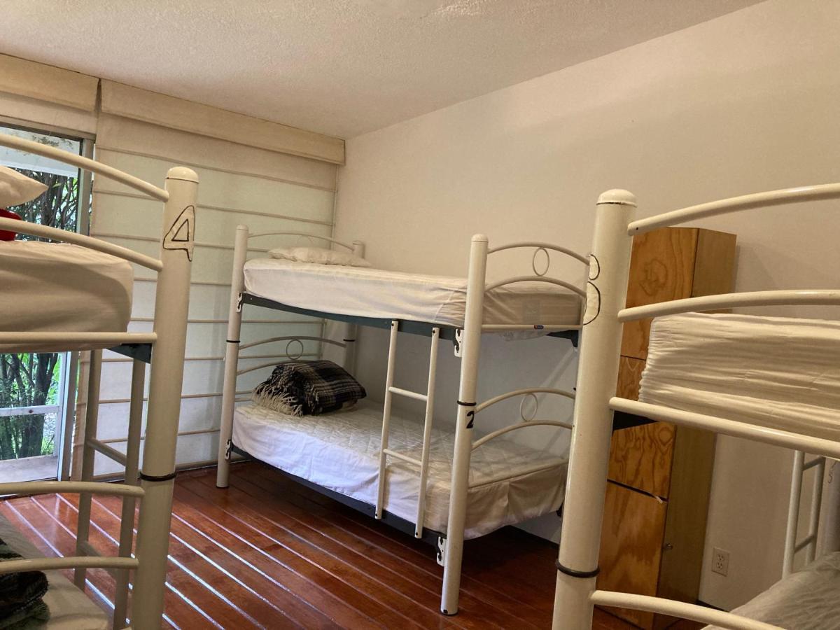 Hostal Cuija Coyoacan Berlin 268 Coyoacan Meksyk Zewnętrze zdjęcie