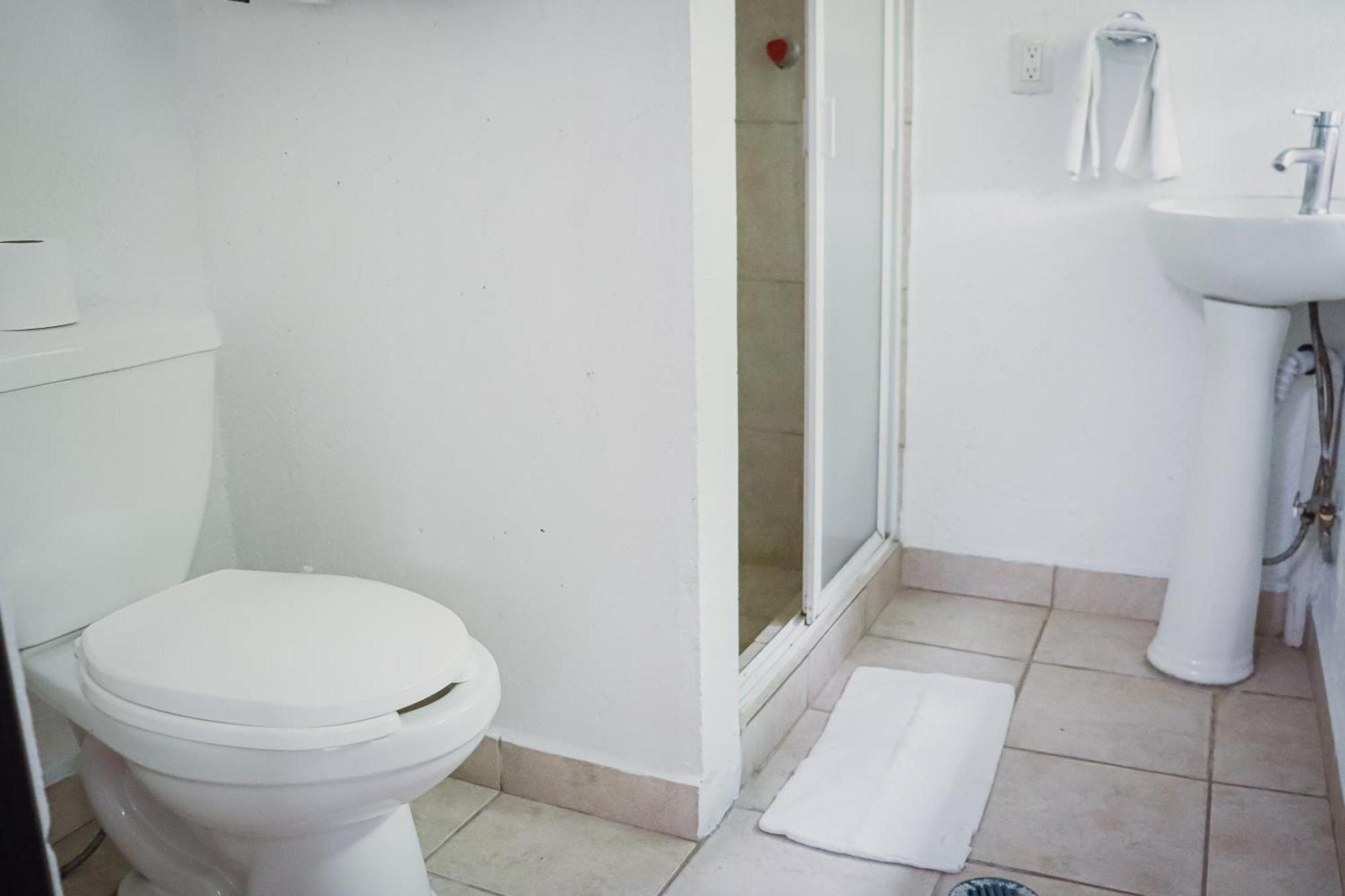 Hostal Cuija Coyoacan Berlin 268 Coyoacan Meksyk Zewnętrze zdjęcie
