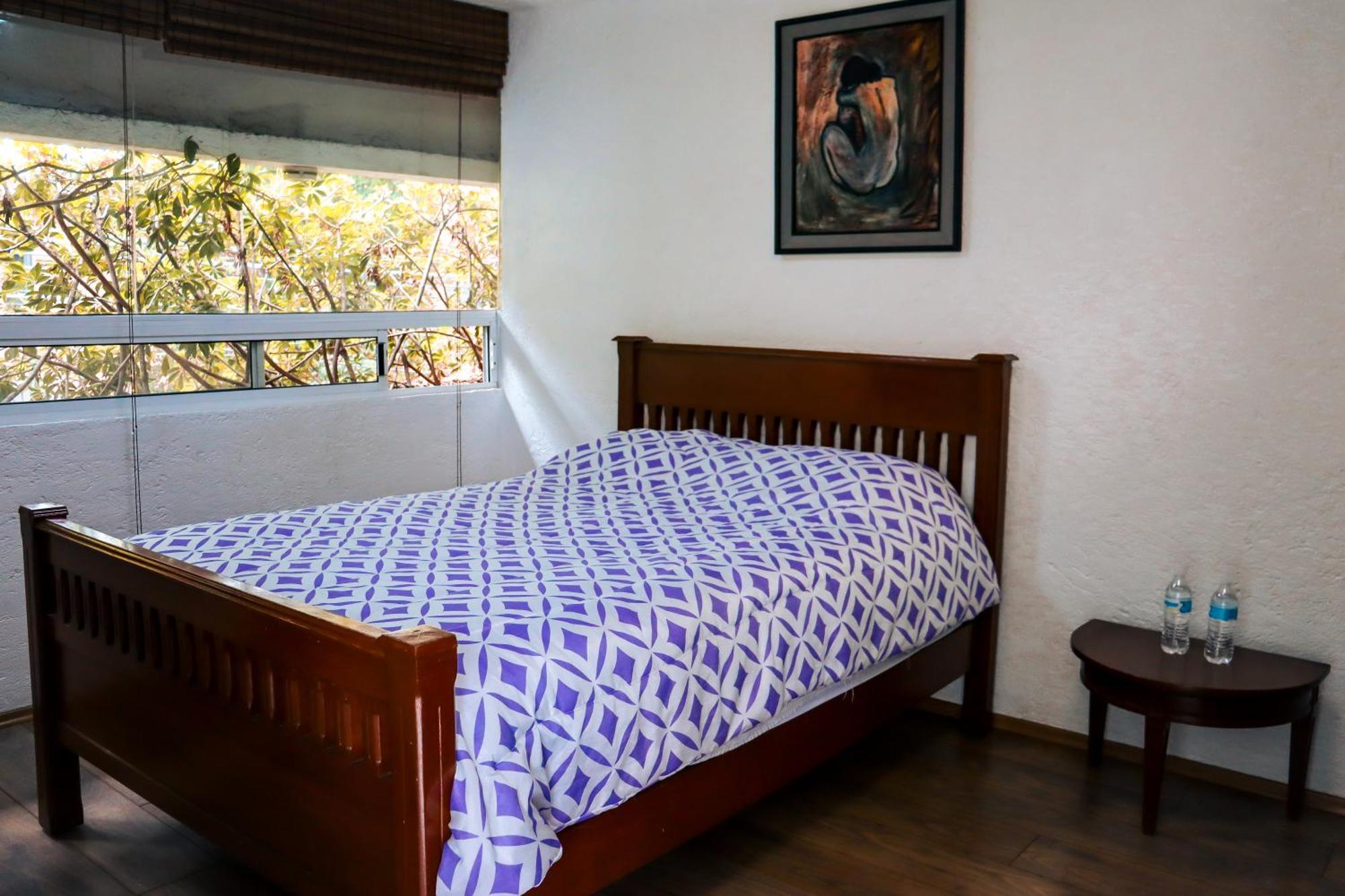 Hostal Cuija Coyoacan Berlin 268 Coyoacan Meksyk Zewnętrze zdjęcie