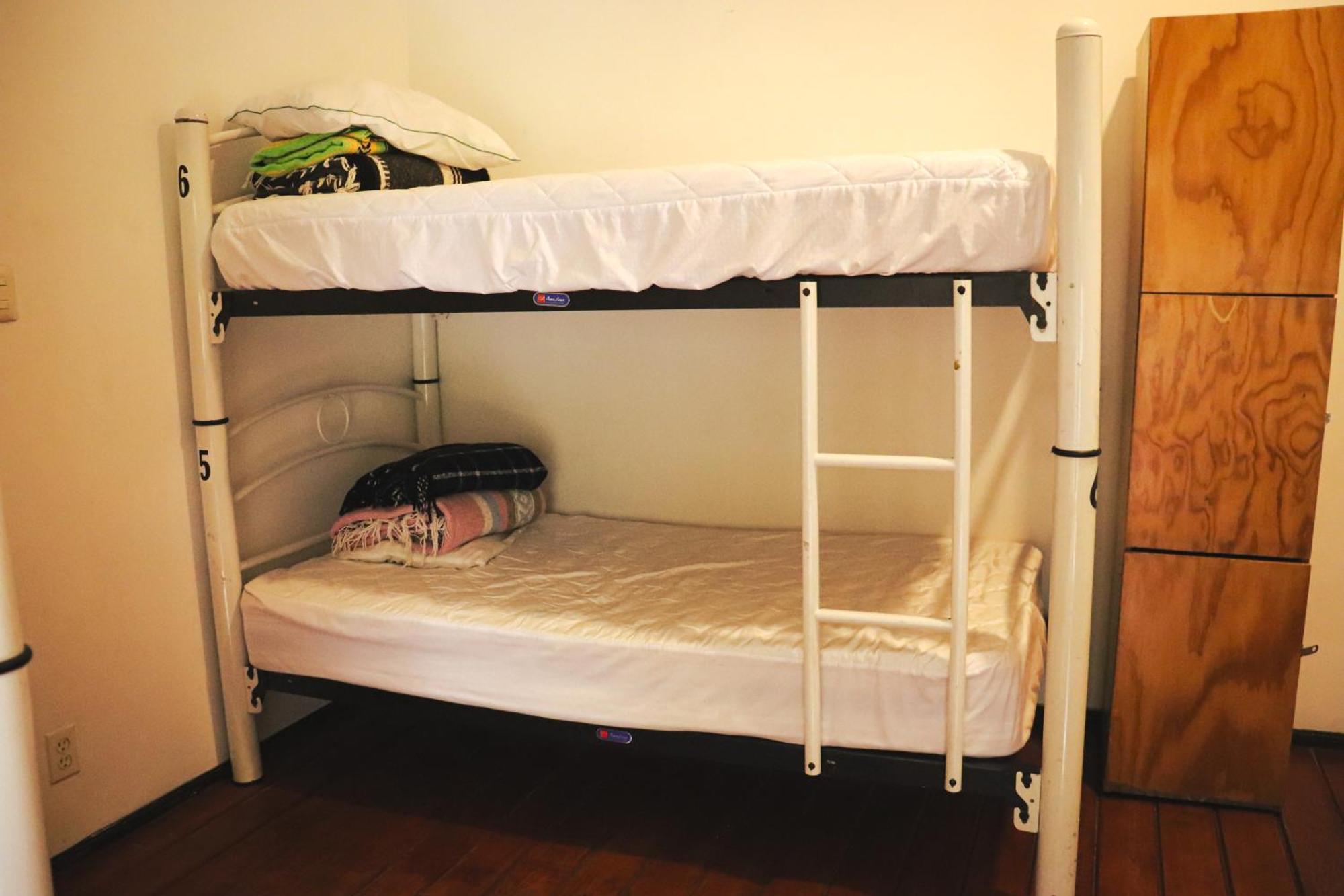 Hostal Cuija Coyoacan Berlin 268 Coyoacan Meksyk Zewnętrze zdjęcie