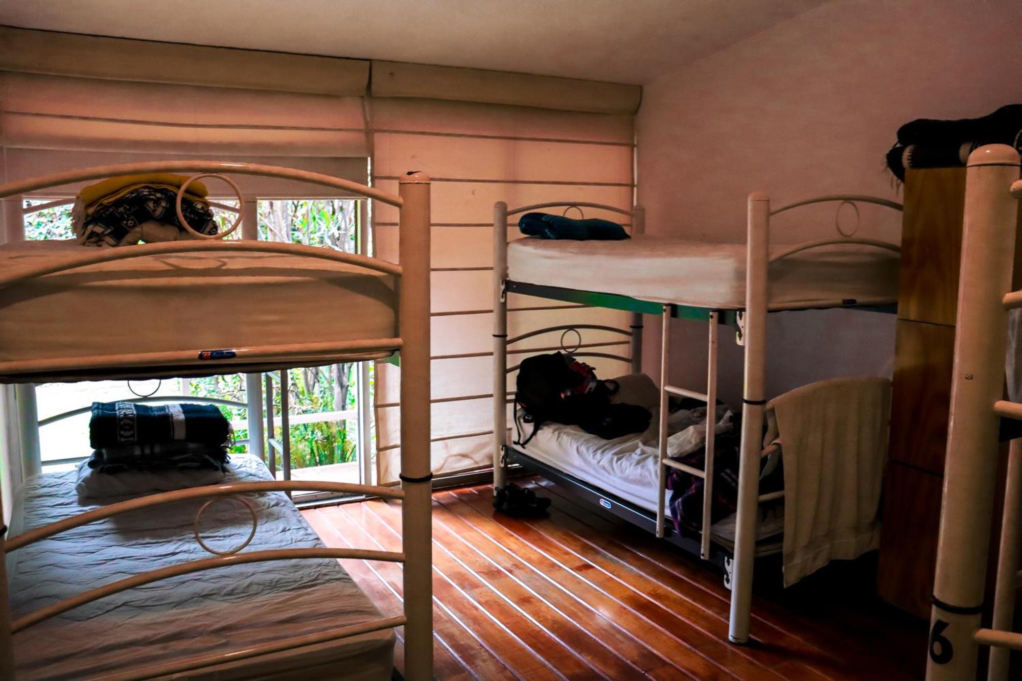 Hostal Cuija Coyoacan Berlin 268 Coyoacan Meksyk Zewnętrze zdjęcie