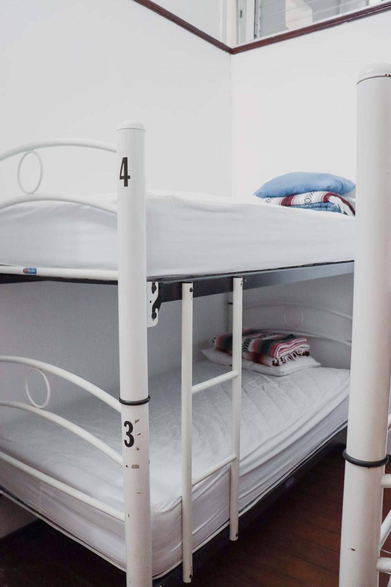 Hostal Cuija Coyoacan Berlin 268 Coyoacan Meksyk Zewnętrze zdjęcie