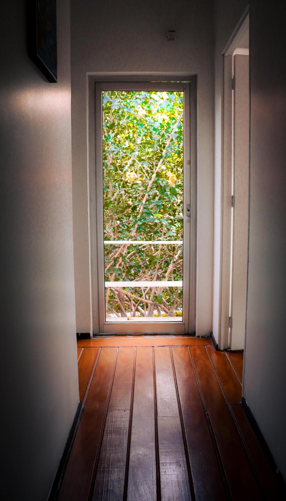 Hostal Cuija Coyoacan Berlin 268 Coyoacan Meksyk Zewnętrze zdjęcie