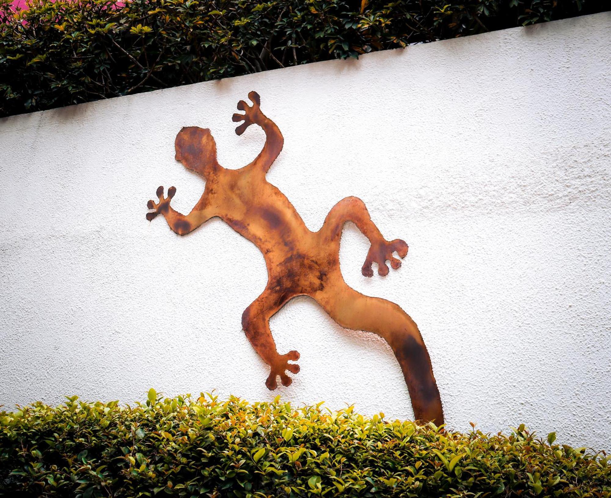 Hostal Cuija Coyoacan Berlin 268 Coyoacan Meksyk Zewnętrze zdjęcie