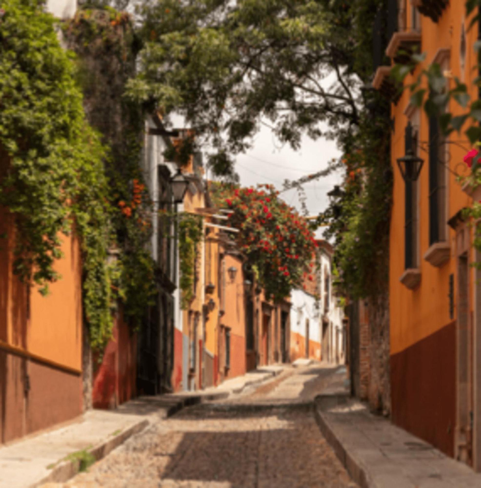 Hostal Cuija Coyoacan Berlin 268 Coyoacan Meksyk Zewnętrze zdjęcie