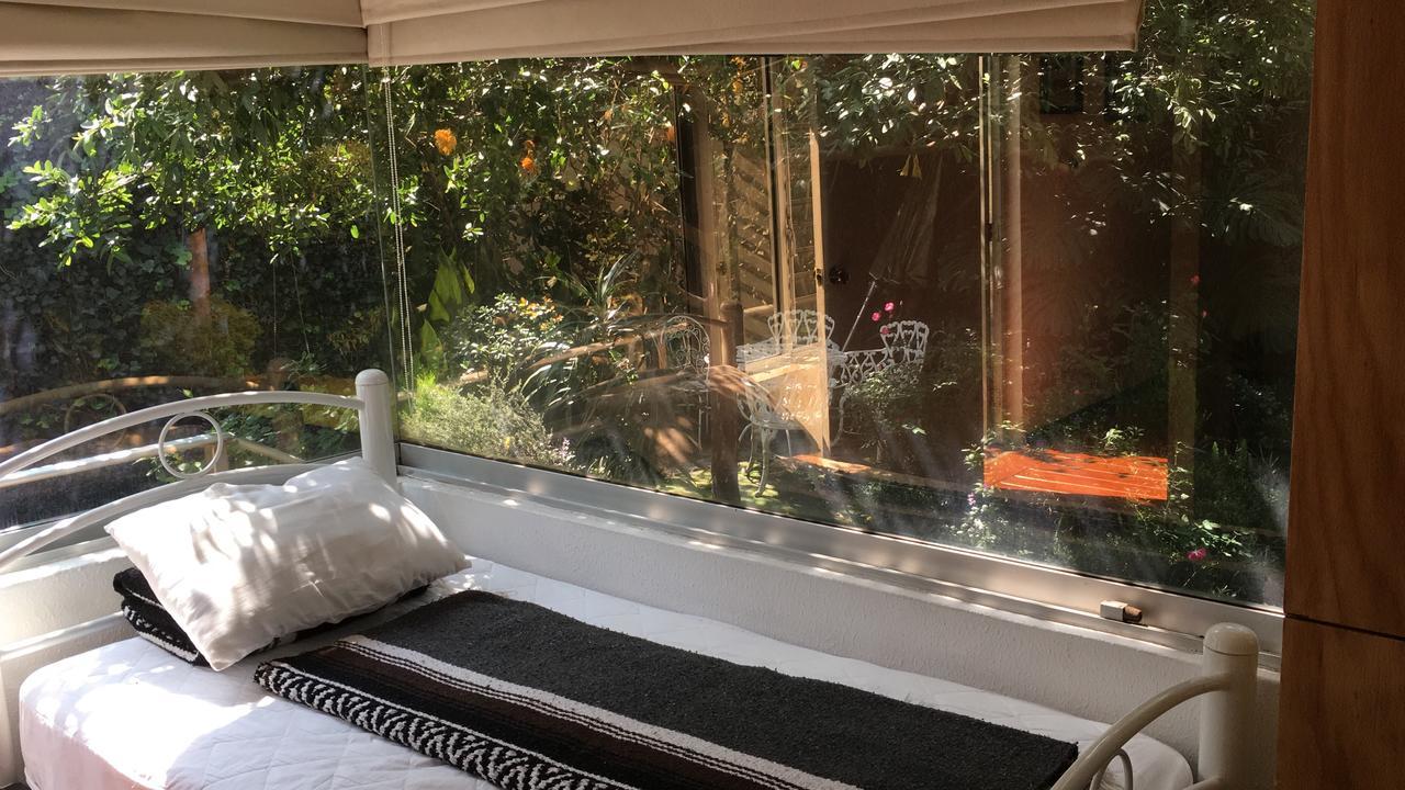 Hostal Cuija Coyoacan Berlin 268 Coyoacan Meksyk Zewnętrze zdjęcie